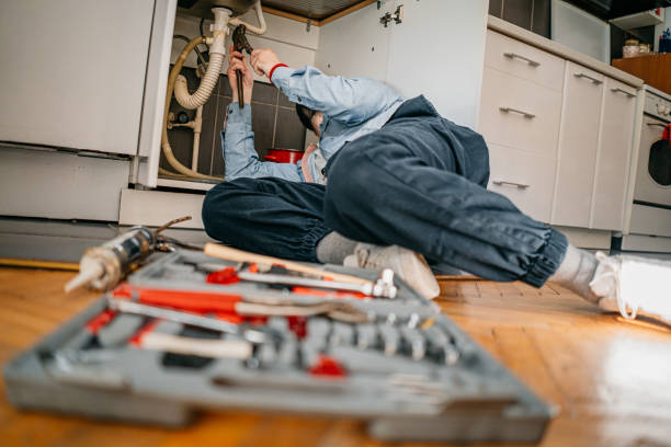 Best Affordable Plumber Near Me  in Williams, CA