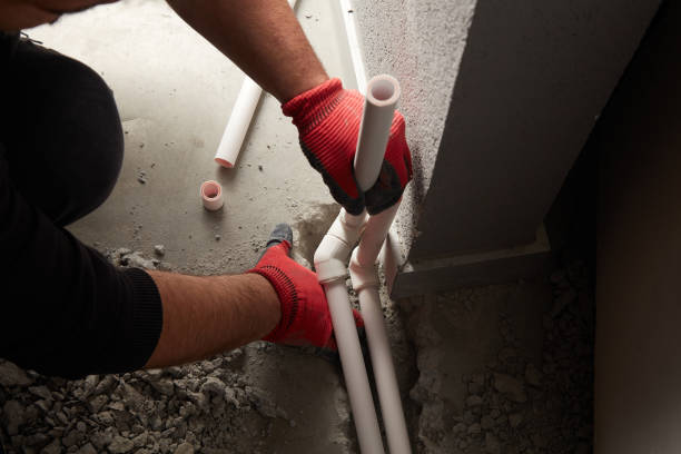 Best Clogged Drain Plumber  in Williams, CA