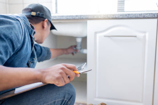 Best Local Plumber Services  in Williams, CA