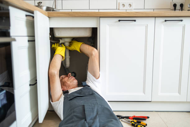  Williams, CA Plumbing Pros