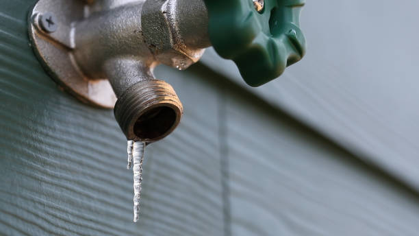 Best Same-Day Plumbing Service  in Williams, CA