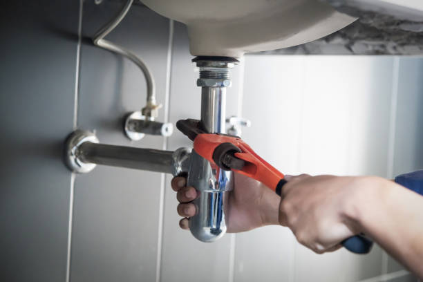Best Plumbing Inspection Services  in Williams, CA